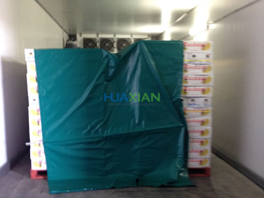 Small Forced Air Cooler 6 Pallets Mobile Vegetables For Cold Storage Room