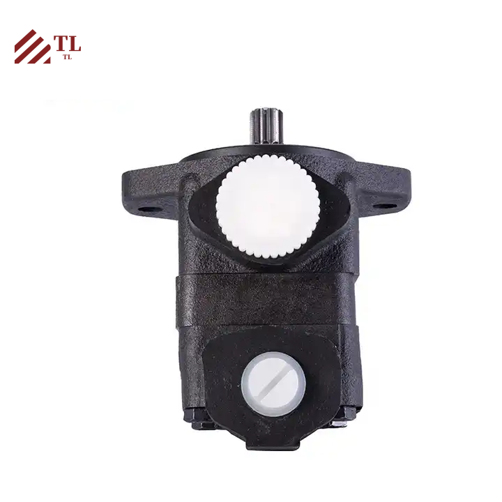 1003414 Hydraulic Gear Pump Vane Pump for Manufacturing Plant and Crawler Excavator