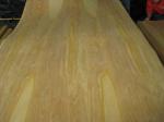 4’ x 8’ Birch Wood Veneer Sheet For Furniture, Door