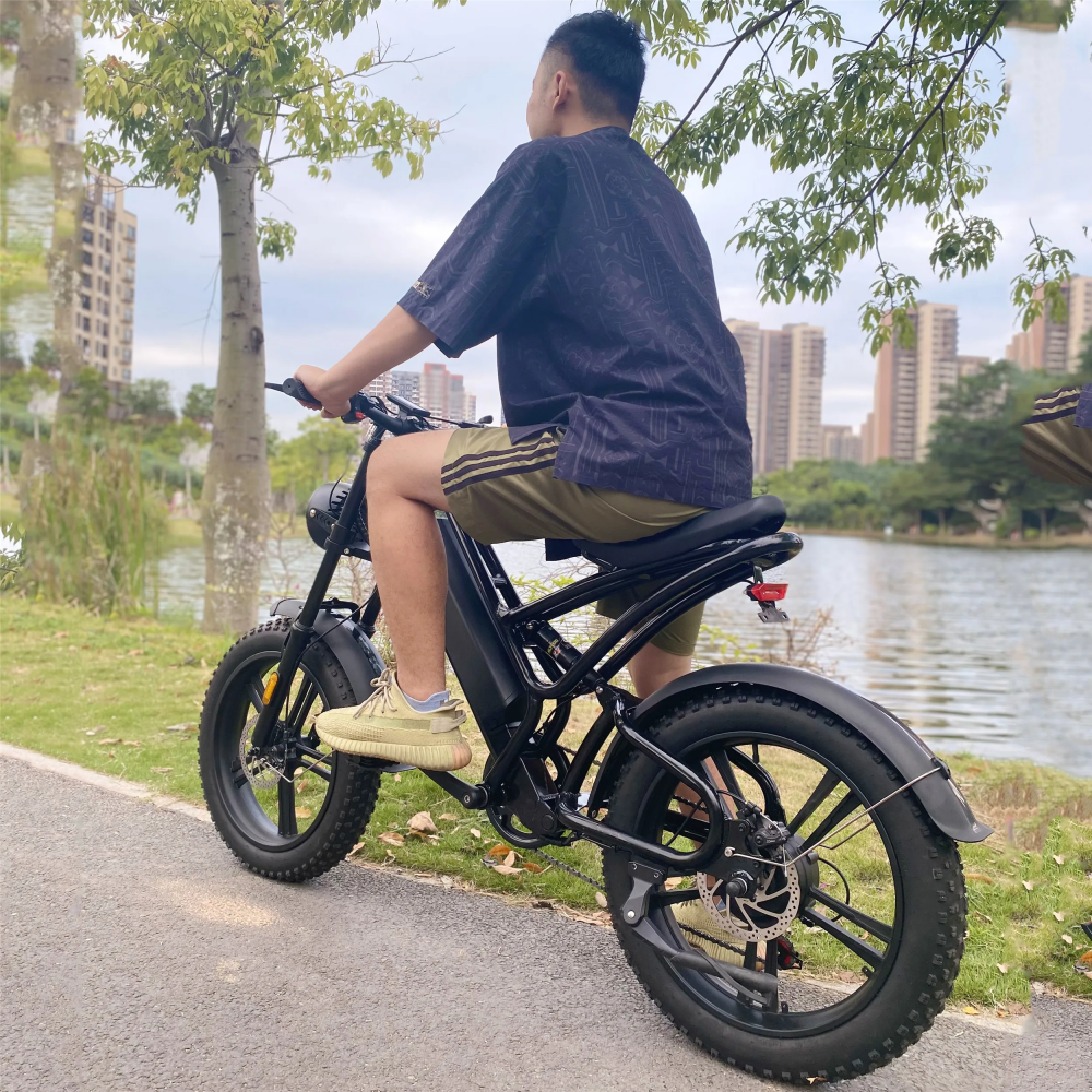 1000W 20 Inch Electric Fat Tire Bike 48V 16Ah Full Suspension Electric Bicycle