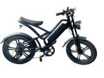 1000W 20 Inch Electric Fat Tire Bike 48V 16Ah Full Suspension Electric Bicycle