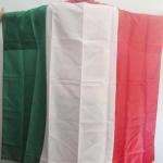 National Advertising Promotional Body Flag