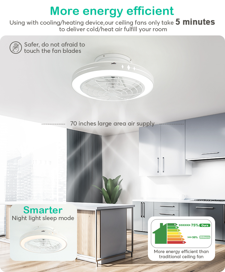 Silent High Speed 20 Inch LED Ceiling Fan with Smart Control and Decorative Lighting
