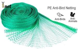 Quality Green Nylon Anti Bird Net UV Resistant Netting For Crops And Gardens wholesale