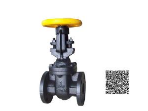 Quality (ANSI) Cast Iron Gate Valve FLANGED wholesale