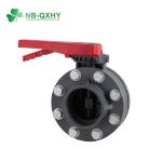 Plastic Gray Industrial Valve CPVC PVC Ball Valve Water Butterfly Valve