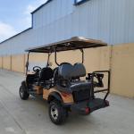 Electric Utility Custom Khaki Daily Use Golf Cart 6 Seater 72V Lithium Battery