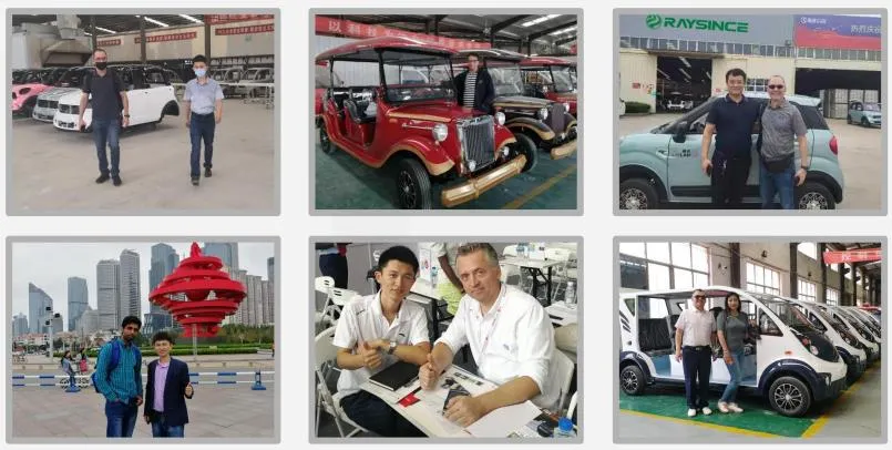 China Factory Directly Supply Cheap Price Electric Vehicle Low Speed Three Wheel Electric Car with EEC