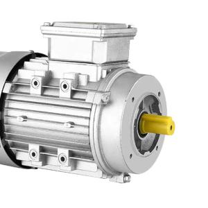 Quality Ac 3 Phase Induction Motor Squirrel Cage Double wholesale
