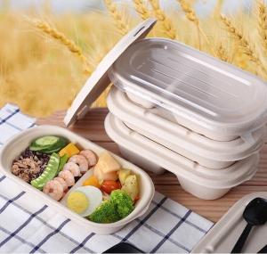 Quality 100% Compostable Disposable Eco Packaging Food Grade Sugarcane Pulp Lunch Box wholesale