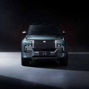 Quality YW U8 2023 Luxury Version Electric Vehicle Single Speed Gearbox 5 Doors 5 Seats SUV wholesale