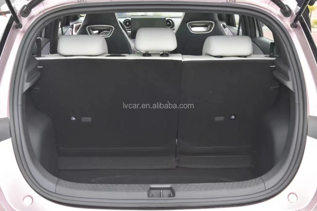 BYD Dolphin Electric Car 420km Range 2023 Adult Model Maximum Power 45kW Haitun EV Car