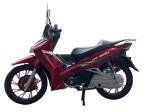 110cc cheap Chinese Super electric start OEM eec EPA adult new mini Haoju gas