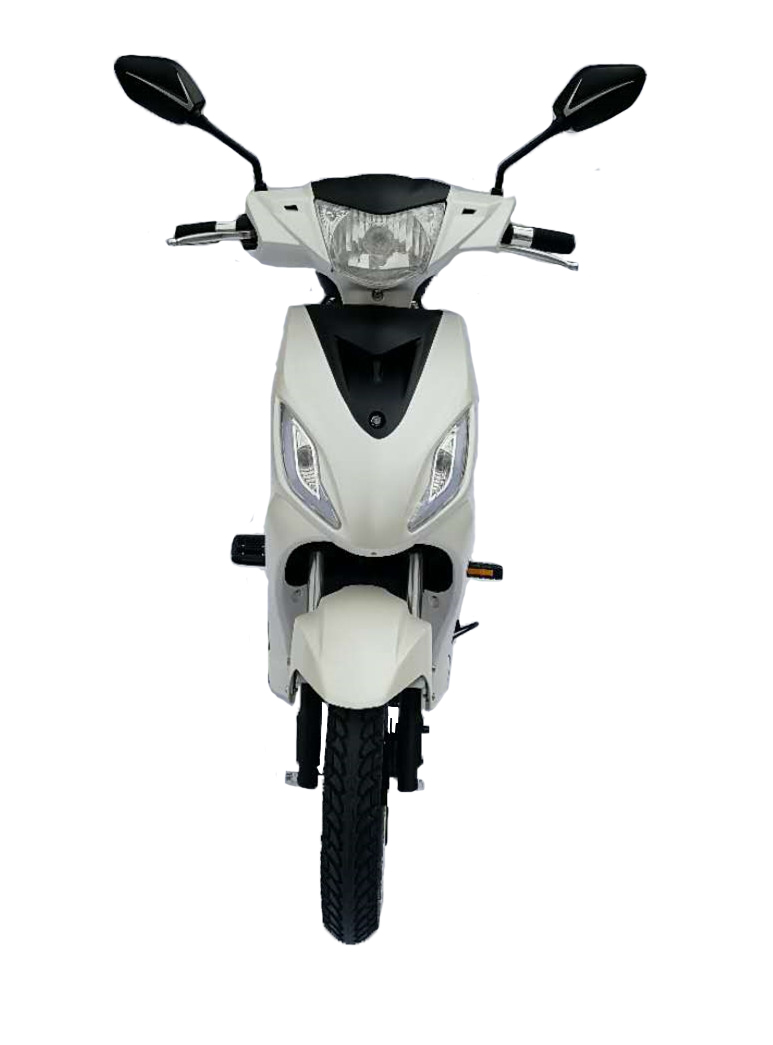 Adult Moped Electric Bike 48V 500W 1000W Motor Power Two-Wheel Electric Scooter Bluetooth Smart Front Brake 30AH 40AH Options