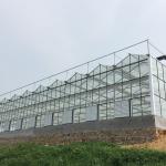 Instruction for Agricultural Glass Hydroponics System Commercial Greenhouses