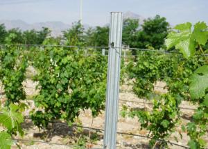 Quality Steel Square / Bevelled Plant Support Posts 1.5mm Thickness Erosion Resistant wholesale