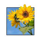 22 Inch Advertising Square LCD Display NFT 450nits 1920x1920
