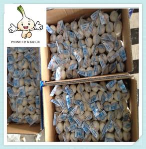 Quality Garlic Supply Supplier Loose Packing Fresh Garlic Chinese Natural Fresh Garlic in 10kg Box wholesale