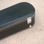 High quality hollow body jazz electric guitar, rosewood fingerboard black