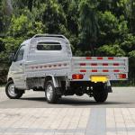 Full Electric Mini Wuling Pickup Truck Compact Design Zero Emission