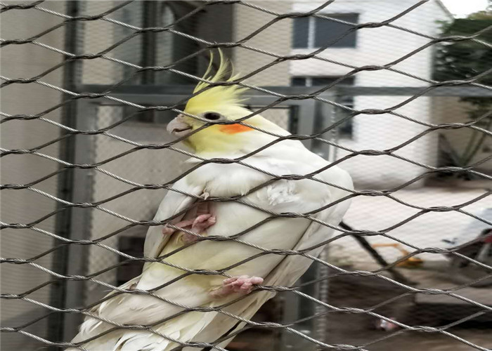 304 / 316 Stainless Steel Aviary Mesh , Stainless Steel Bird Netting