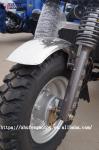 Climbing Petrol 2t 300cc Three Wheel Bike Motorcycle
