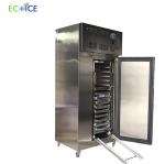 Compact 300L Air Blast Freezer Cold Plate Freezer Deep Freezer Commercial with