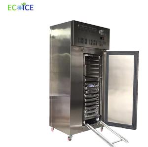 Quality China Supplier Industrial Low Temperature 178 L Fast Cooling Blast Freezer Equipment wholesale