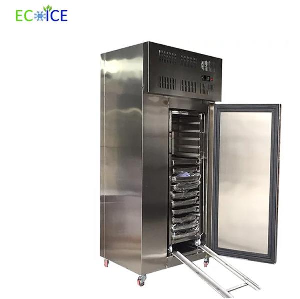 China Supplier Industrial Low Temperature 178 L Fast Cooling Blast Freezer