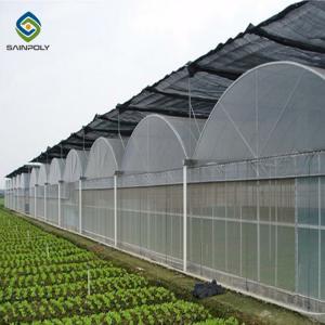 Quality 10ft Plastic Film Greenhouse With Hydroponic Growing Systems wholesale