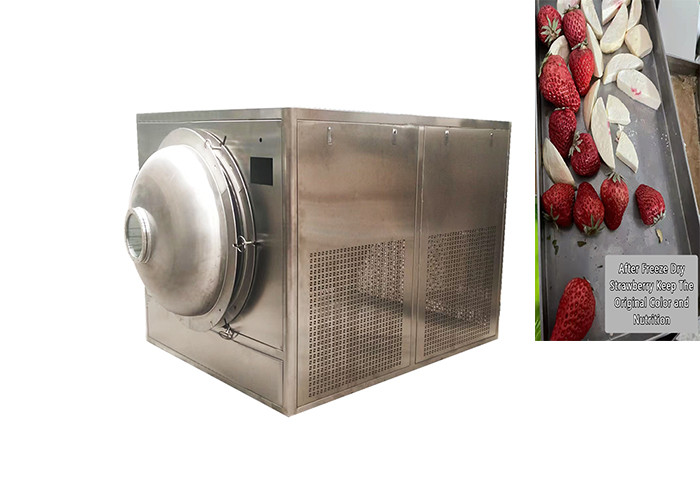 Industrial Alta Food Vacuum Vegetable Freeze Dryer 300Kg