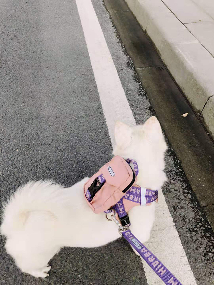 Cute Dog Backpack Harness For Hiking Outdoor Bag With Leash X Small