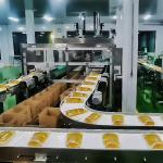 Stainless Steel Construction Bag Conveyor Systems , Bag Handling Conveyor 220V