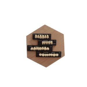 Quality High Wear Resistance Dental Acrylic Resin Teeth Form 1 Heraeus wholesale