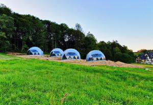 Quality Self Assembly Dome Tent Glamping For Hospitality Industry wholesale