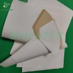 50gsm Wood Pulp Bleached And Unbleached Food Grade Coffee Filter Paper 328mm