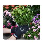 Flower Shop Firm Grip Protective Gardening Latex Gloves With Different Color