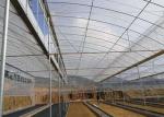Agriculture Polytunnel Greenhouse