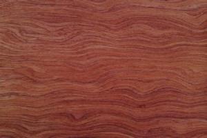 Quality Good price Veneered MDF wholesale