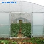 Economical High Hoop Agriculture 60m Tunnel Plastic Greenhouse