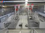 Steel Pig Farm Shed Piggery Equipment Feeding Accessories Customized