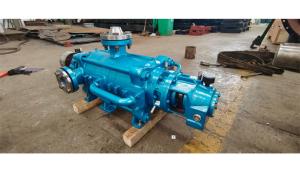 Quality ZDF Series Brine Water Pump 3.75-7.5m3/H Stainless Steel Water Pump wholesale