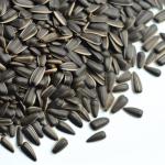 wholesale Dried Sunflower Seeds Factory Direct raw Wholesale T6 Sunflower Seeds