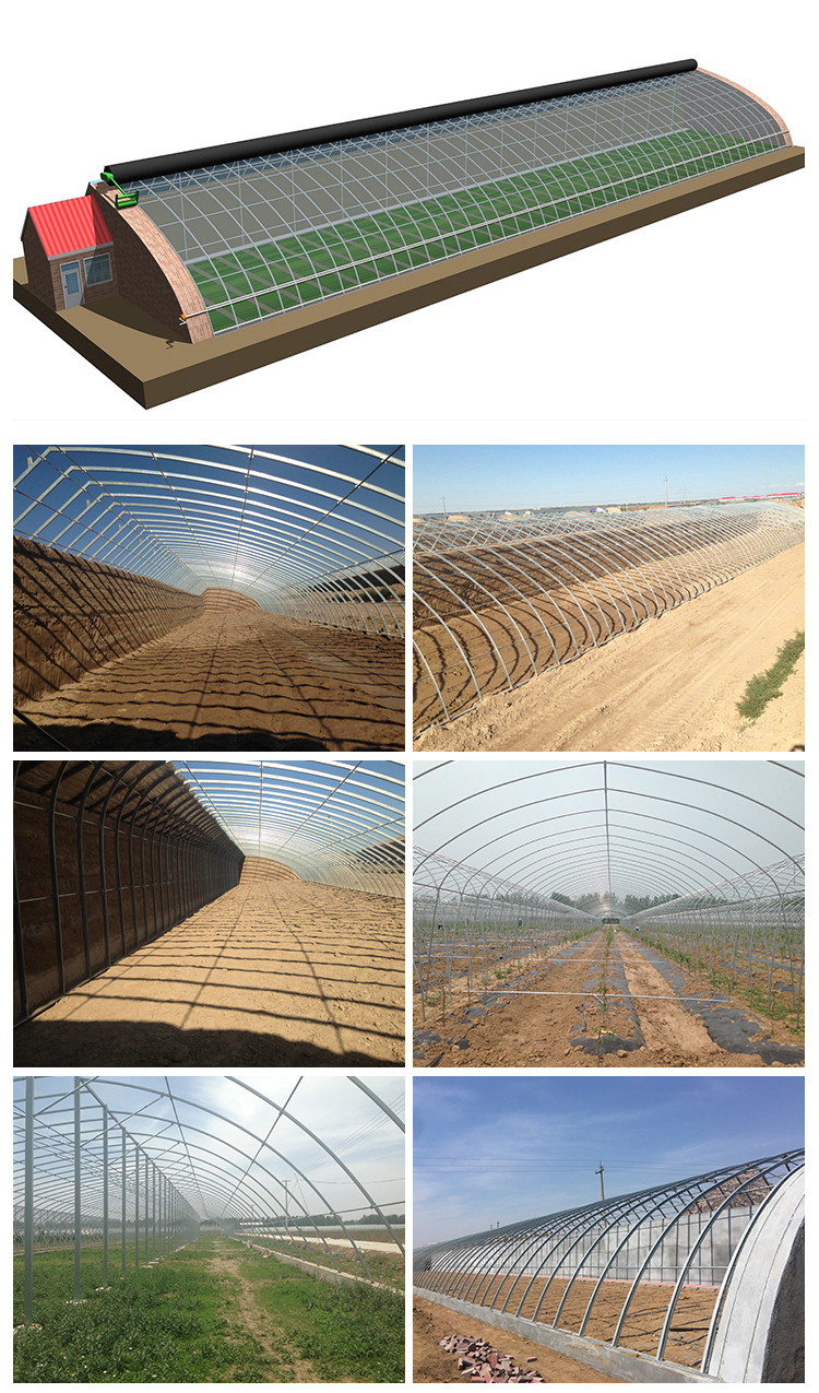 Hydroponic Greenhouse System for High Strength Solar Greenhouse and Vegetable Flower