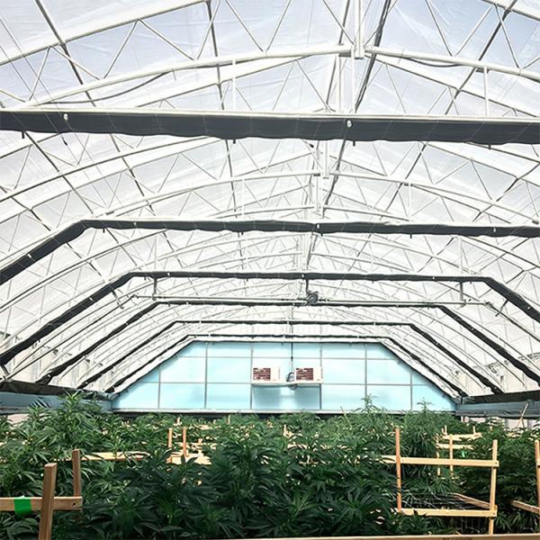 Agricultural Curtain Fabric Blackout Greenhouse Automatic Control Light