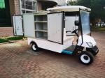 Classic Two Seater Electric Lithium Battery Golf Van Special Vehicle Supports