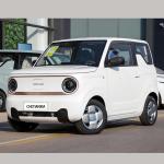 Adult Electric EV Small Car Geely Panda Used Compact Car Fast Charging