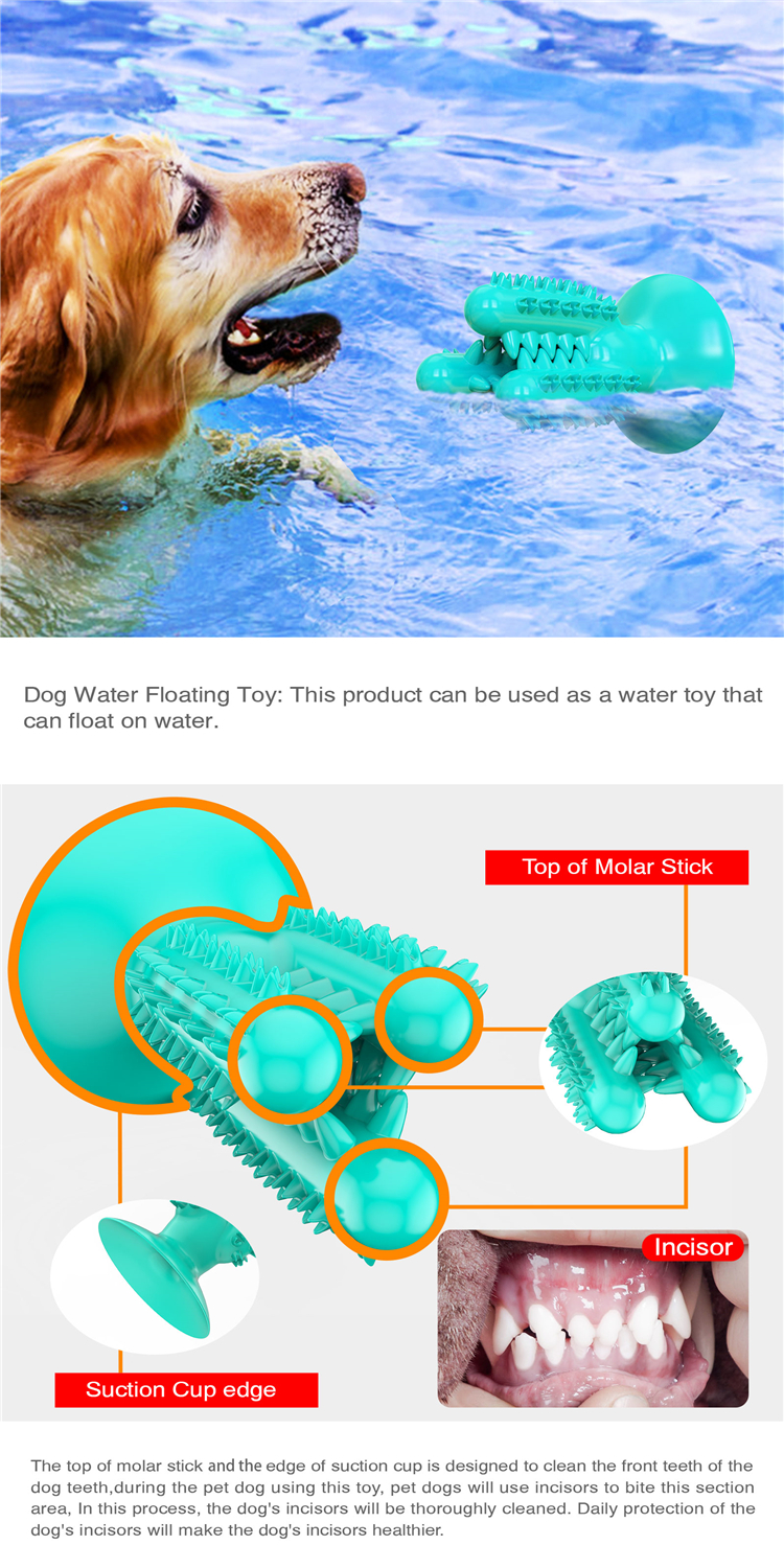 High Quality Dog Chew Toys Cactus Shape Dog Toothbrush Pet Suction Cup Toys For Pet