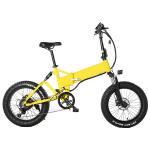 7speed Fat Tire Electric Folding Bike 20 Inch OEM Available