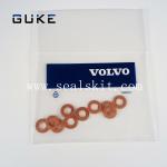 OEM Repair Kits For Engine Fuel Lines Jinectors Ring VOE20799064